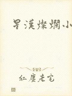 星汉灿烂小说封面