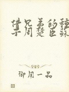 借兄弟的种生孩子周楚臣苏糖