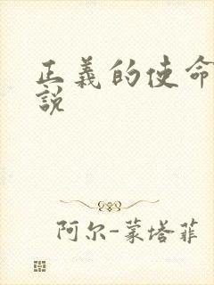 正义的使命 小说