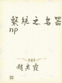 系统之名器攻略np