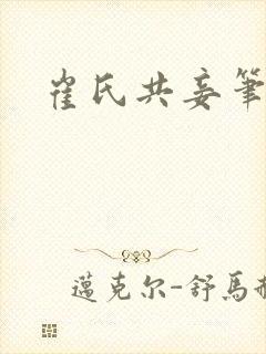 崔氏共妾笔趣阁封面