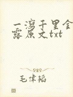 一泻千里金银花露原文txt