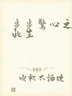 步步惊心之禛曦此生