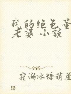 我的绝色董事长老婆 小说