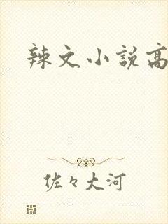 辣文小说高h