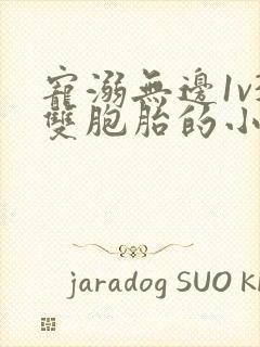 宠溺无边1v3双胞胎的小说