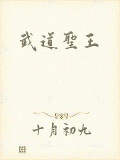 武道圣王