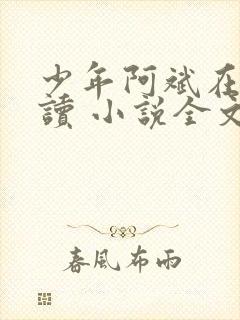 少年阿斌在线阅读 小说全文免费