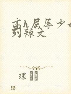 高h屈辱少妇系列辣文封面