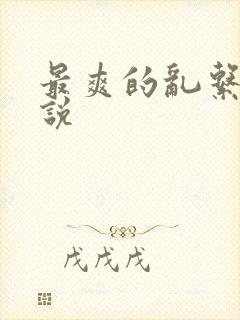 最爽的乱系列小说