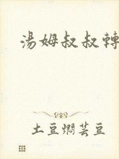 《汤姆叔叔转接口》小说封面