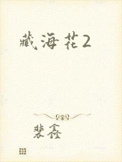 藏海花2