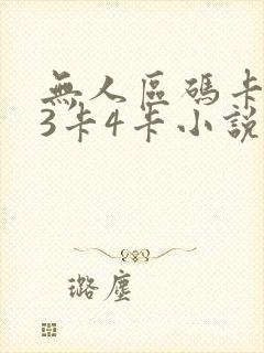 无人区码卡二卡3卡4卡小说