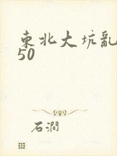东北大坑乱1—50