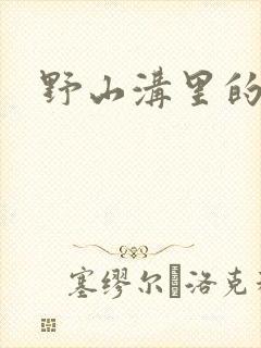 野山沟里的村庄