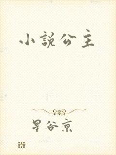 小说公主