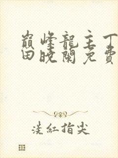 巅峰龙主丁长顺田晓兰免费阅读