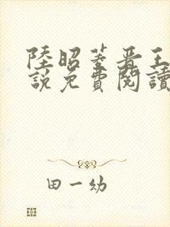 陆昭菱晋王的小说免费阅读