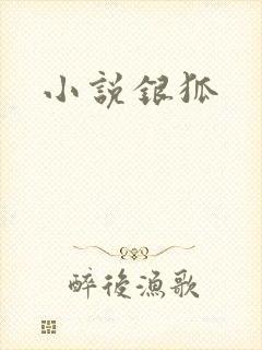 小说银狐