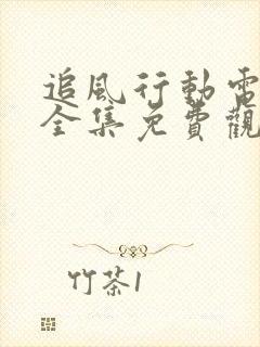 追风行动电视剧全集免费观看