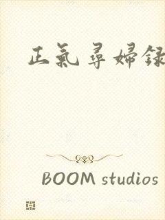 正气寻妇录