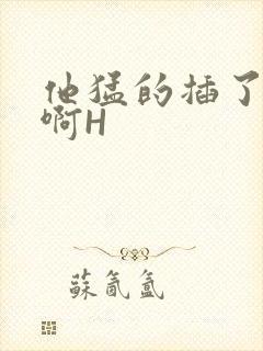 他猛的插了进去啊H