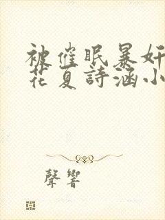 被催眠暴奸的校花夏诗涵小说