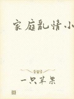 家庭乱情小说