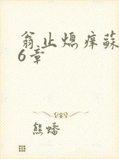 翁止熄痒苏玥第6章