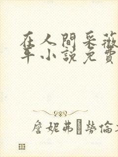 在人间采薇陆三平小说免费阅读