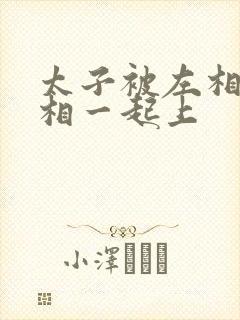 太子被左相和右相一起上