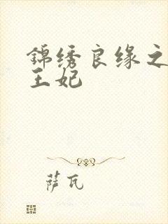 锦绣良缘之北地王妃