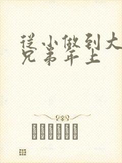 从小做到大骨科兄弟年上封面