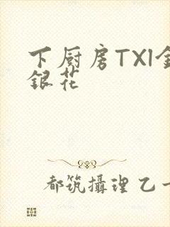 下厨房TXl金银花