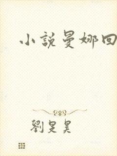 小说曼娜回忆录封面