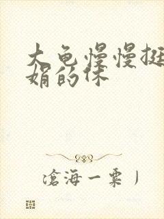 大龟慢慢挺进张娟的休