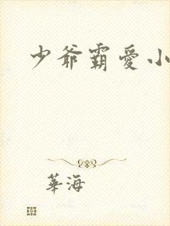 少爷霸爱小丫头