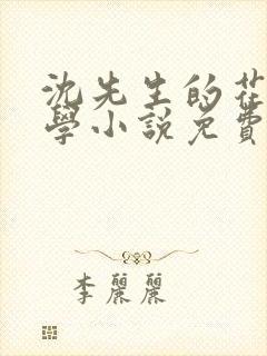 沈先生的花式教学小说免费