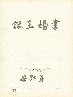 《银王婚书》小说封面