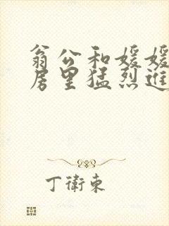 翁公和媛媛在厨房里猛烈进出