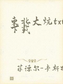 东北大炕txt下载