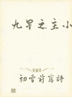 九星之主小说
