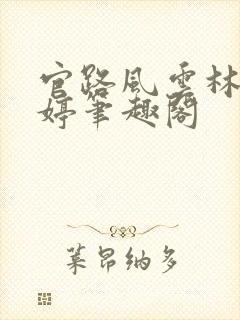 官路风云林海姜婷笔趣阁