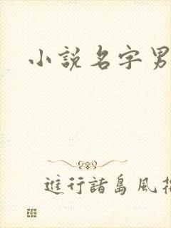 小说名字男生