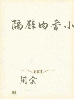 隔壁肉香小说