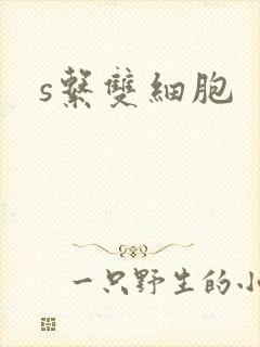 s系双细胞