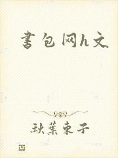 书包网h文