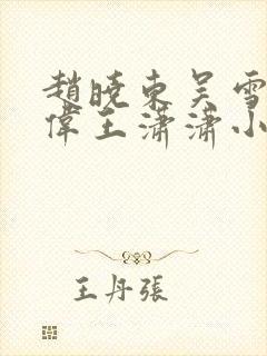 赵晓东吴雪晴郑伟王潇潇小说名字