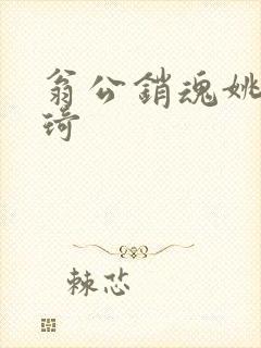 翁公销魂姚瑶琦琦