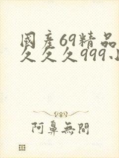 国产69精品久久久久999小说
